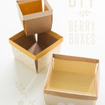 DIY Berry Boxes!