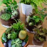 Ikea - Bringing the Outdoors In